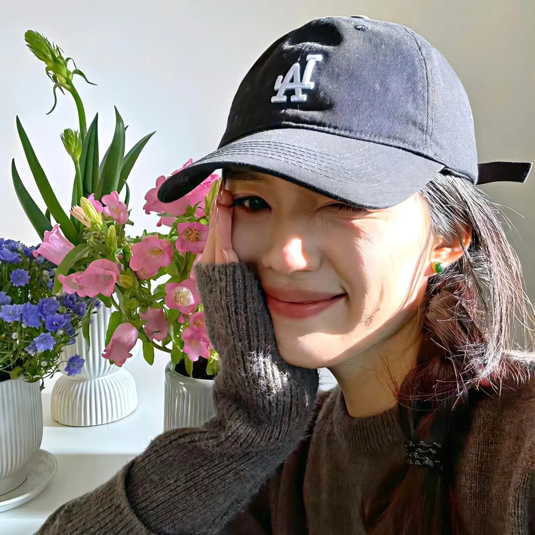 快乐的小鸡